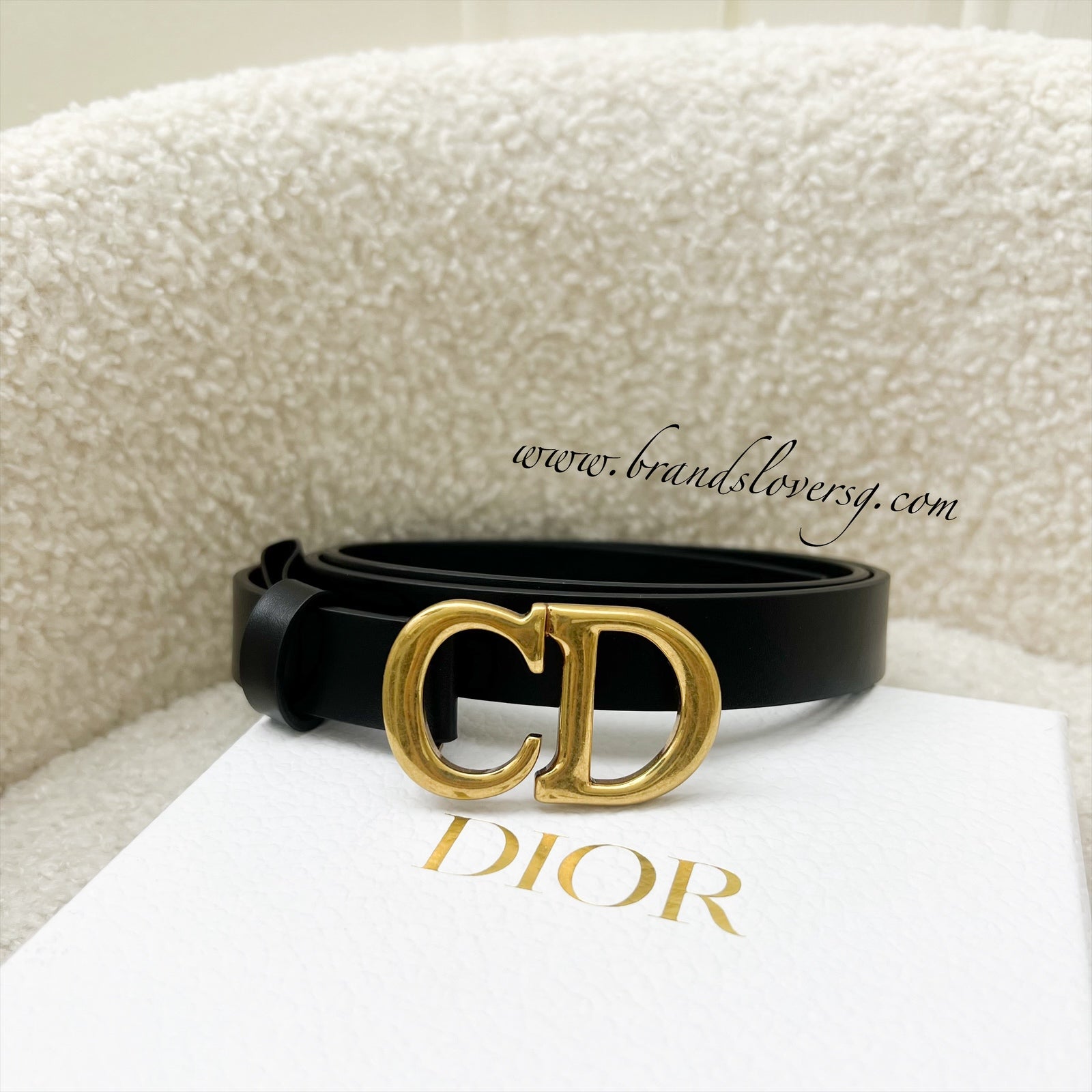 Dior saddle calfskin belt sale