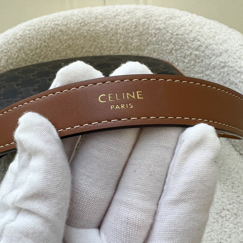 Celine Medium Ava Bag In Triomphe Canvas and Calfskin and GHW