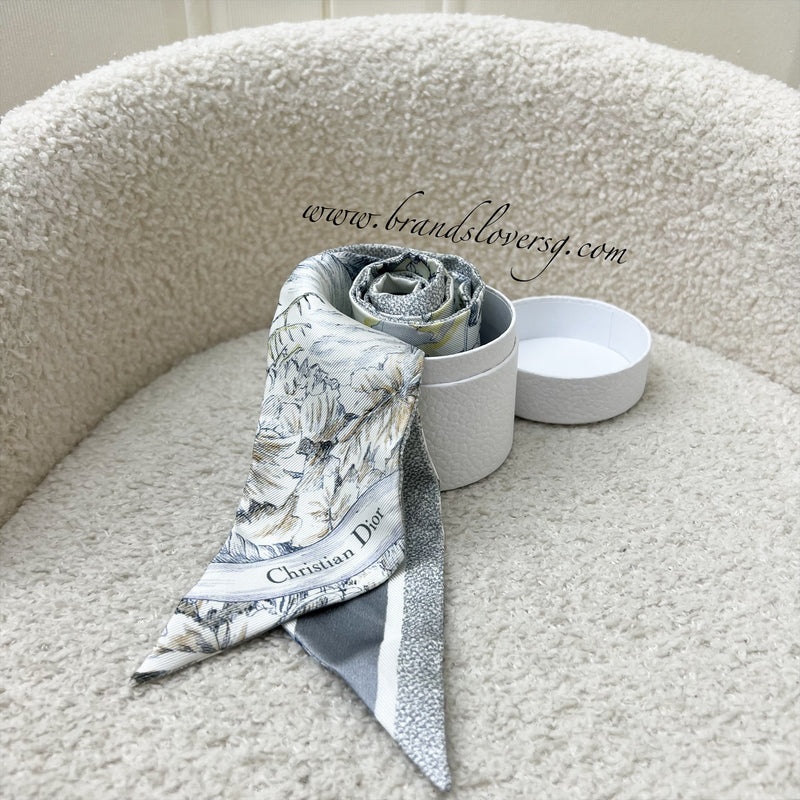 Dior Mitzah Scarf in Grey Silk