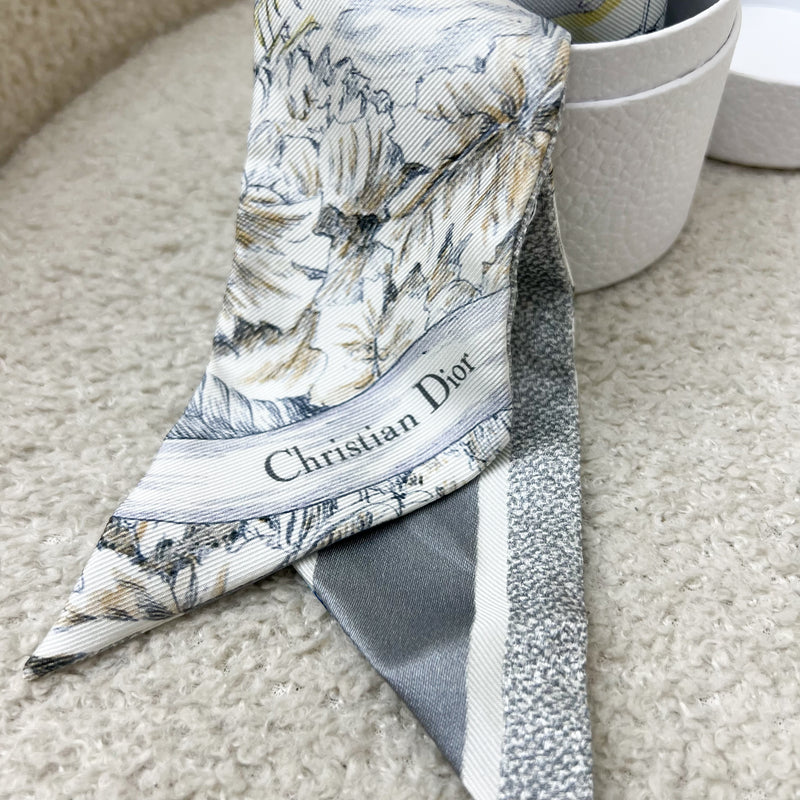 Dior Mitzah Scarf in Grey Silk