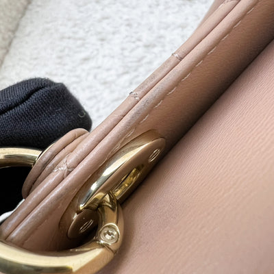 Dior Micro Lady D-Joy Bag in Rose des Vents Cannage Lambskin and LGHW (Model: S0910ONGE, Colour: M49P)