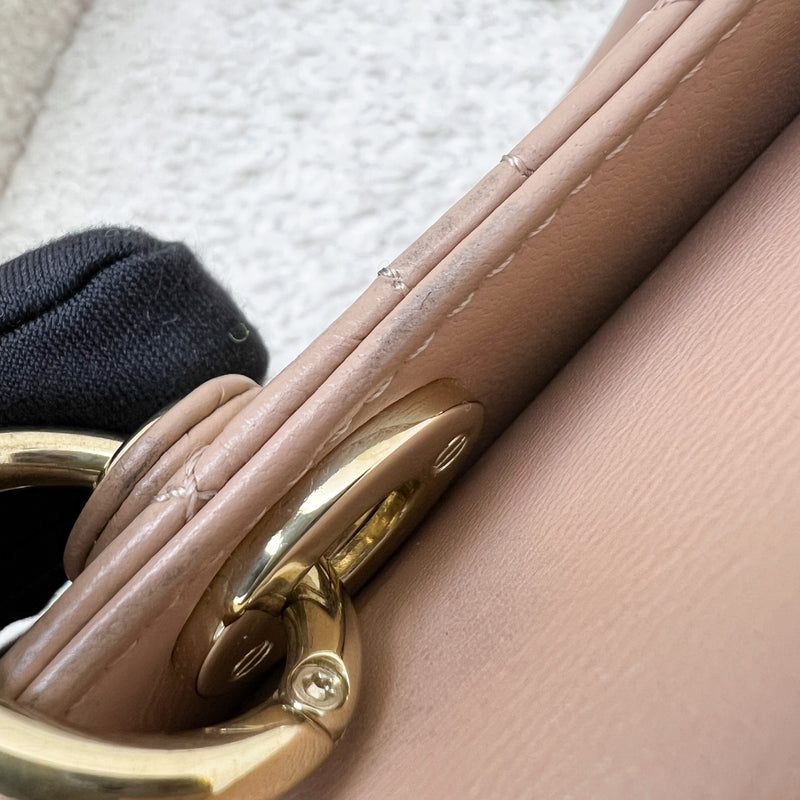 Dior Micro Lady D-Joy Bag in Rose des Vents Cannage Lambskin and LGHW (Model: S0910ONGE, Colour: M49P)