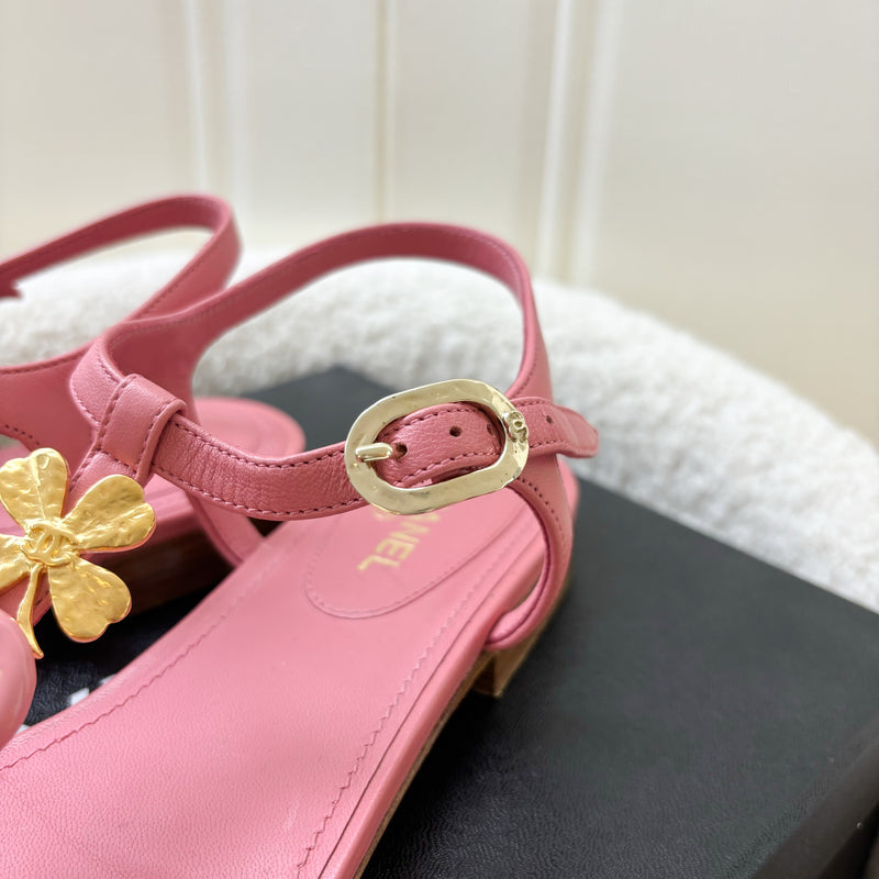 Chanel Pink Sandels in Size 37