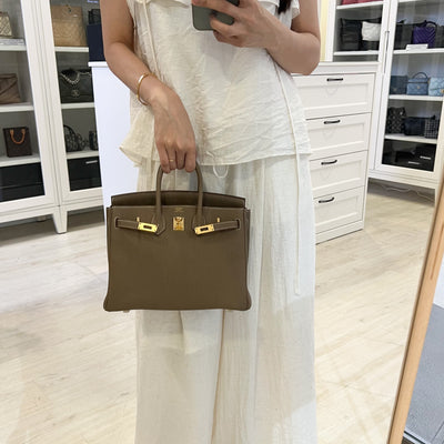 Hermes Birkin 25 in Etoupe Togo Leather and GHW