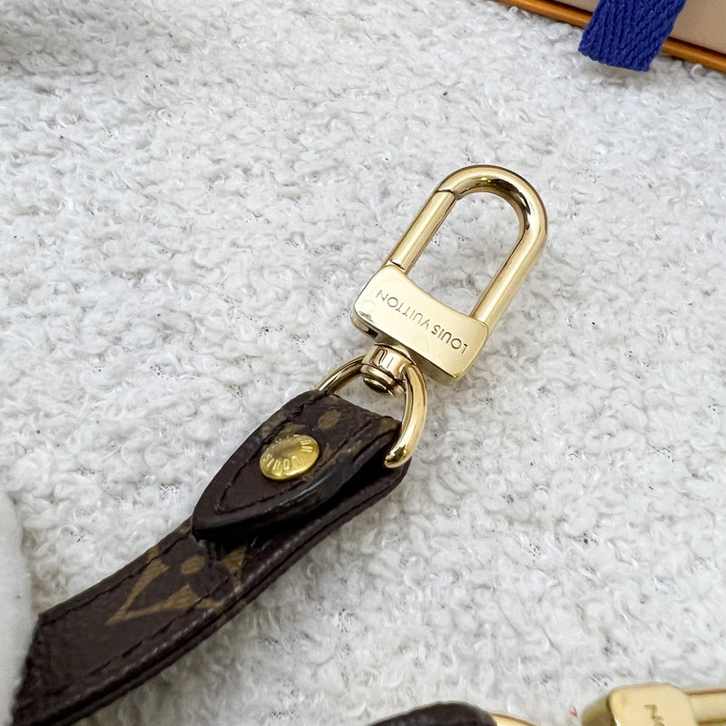 LV Bandouliere Strap in Monogram Canvas and GHW