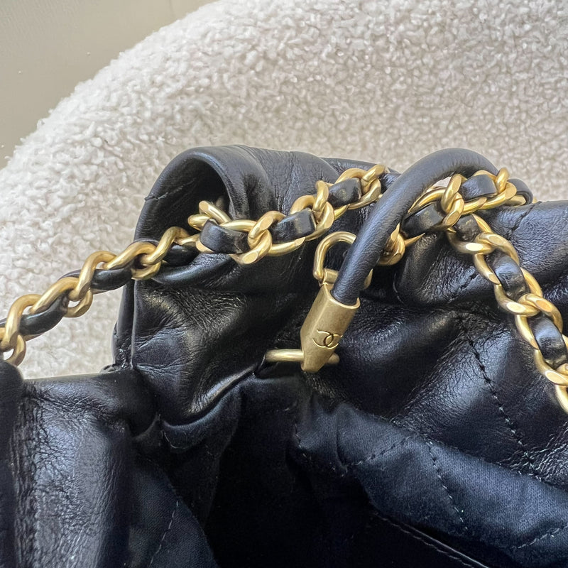 Chanel 22 Mini with Pearls in Black Distressed Calfskin and AGHW