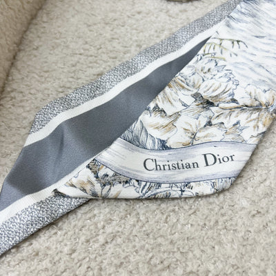 Dior Mitzah Scarf in Grey Silk