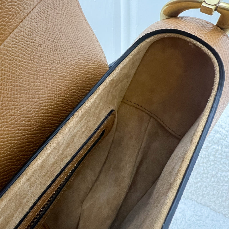 Dior Medium Saddle Bag in Amber Grained Calfskin and AGHW