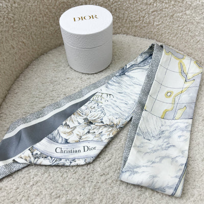 Dior Mitzah Scarf in Grey Silk