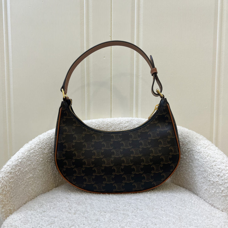 Celine Medium Ava Bag In Triomphe Canvas and Calfskin and GHW