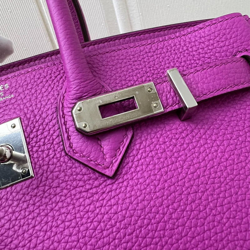 Hermes Birkin 25 in Magnolia Togo Leather and PHW