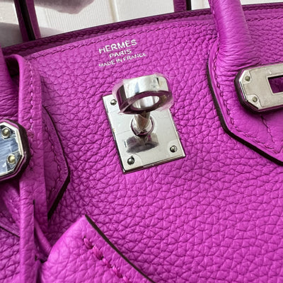 Hermes Birkin 25 in Magnolia Togo Leather and PHW