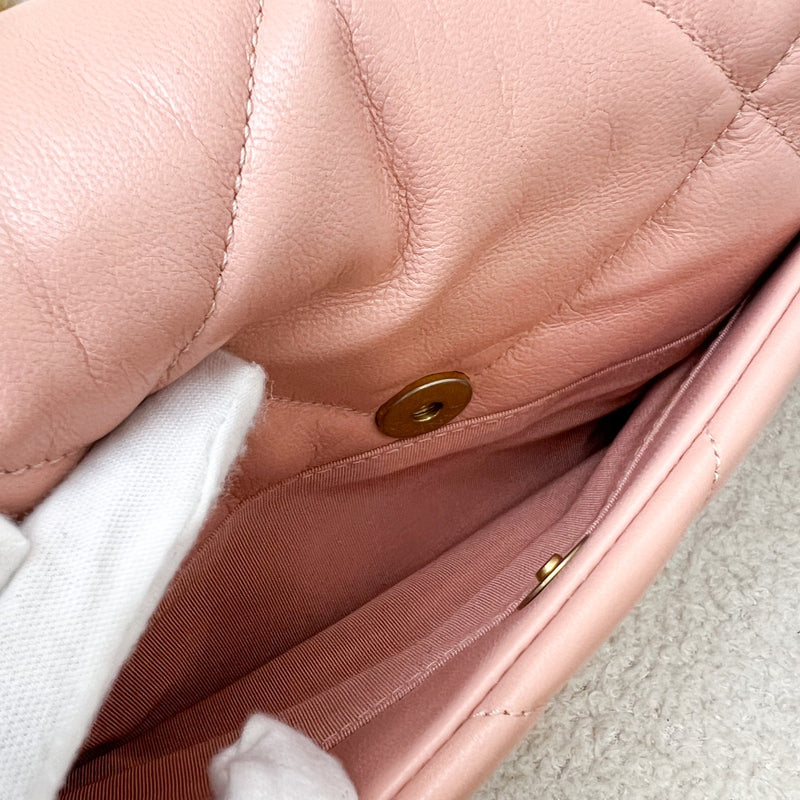 Chanel 19 Small Flap in Light Pink Goatskin and 3-tone HW