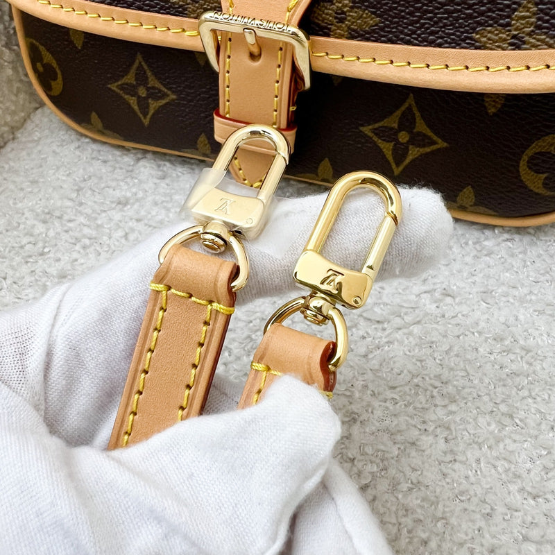 LV Nano Diane in Monogram Canvas and GHW (Model: M83298)