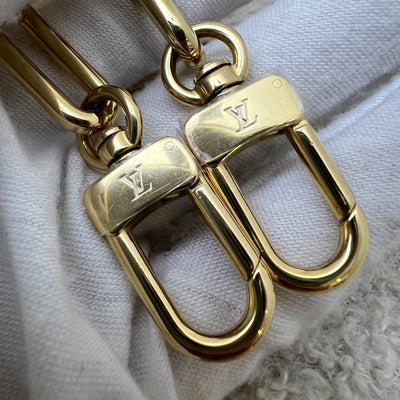LV Louis Vuitton x Takashi Murakami Pochette Accessoires in Multicolore Blanc Monogram Canvas and GHW (Model: M13404)