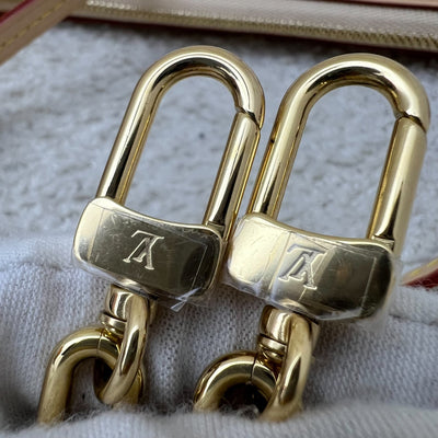 LV Louis Vuitton x Takashi Murakami Pochette Accessoires in Multicolore Blanc Monogram Canvas and GHW (Model: M13404)