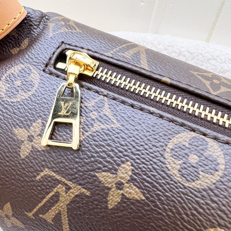 LV Bumbag in Monogram Canvas and GHW