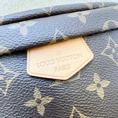 LV Bumbag in Monogram Canvas and GHW