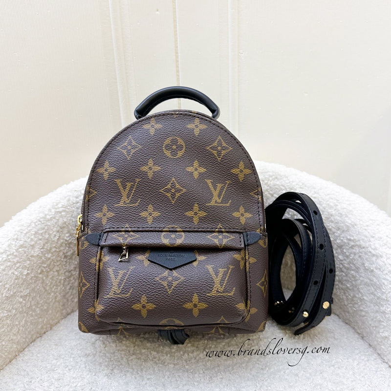 LV Palm Springs Mini Backpack in Monogram Canvas and GHW