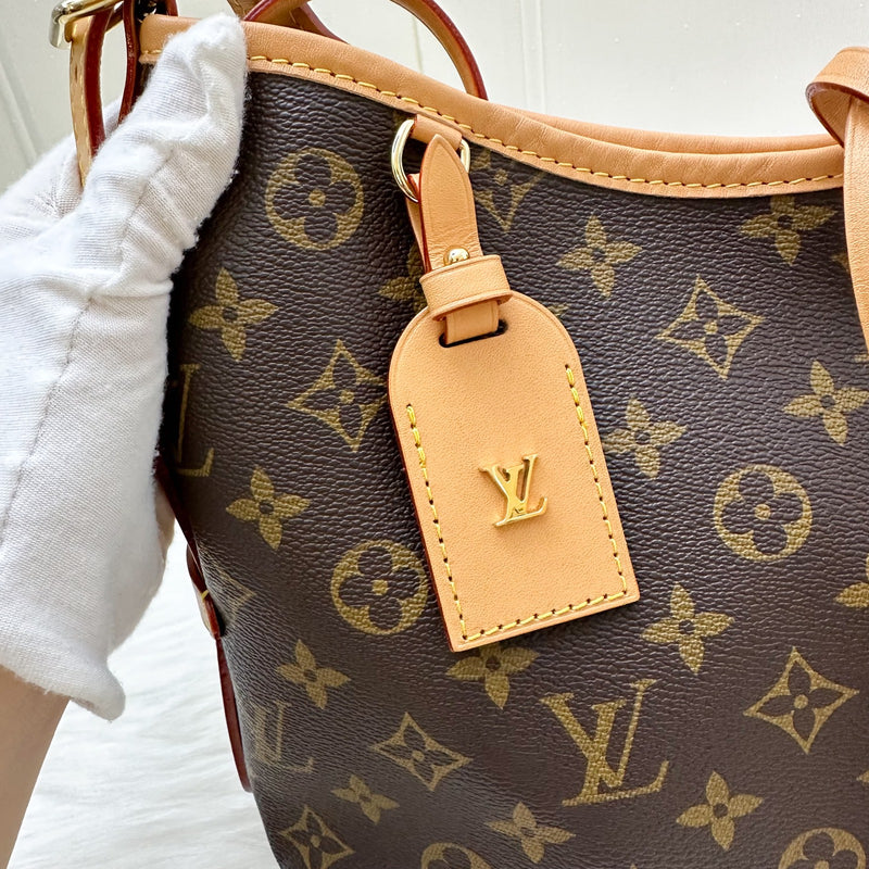 LV Carryall PM Hobo Bag in Monogram Canvas and GHW