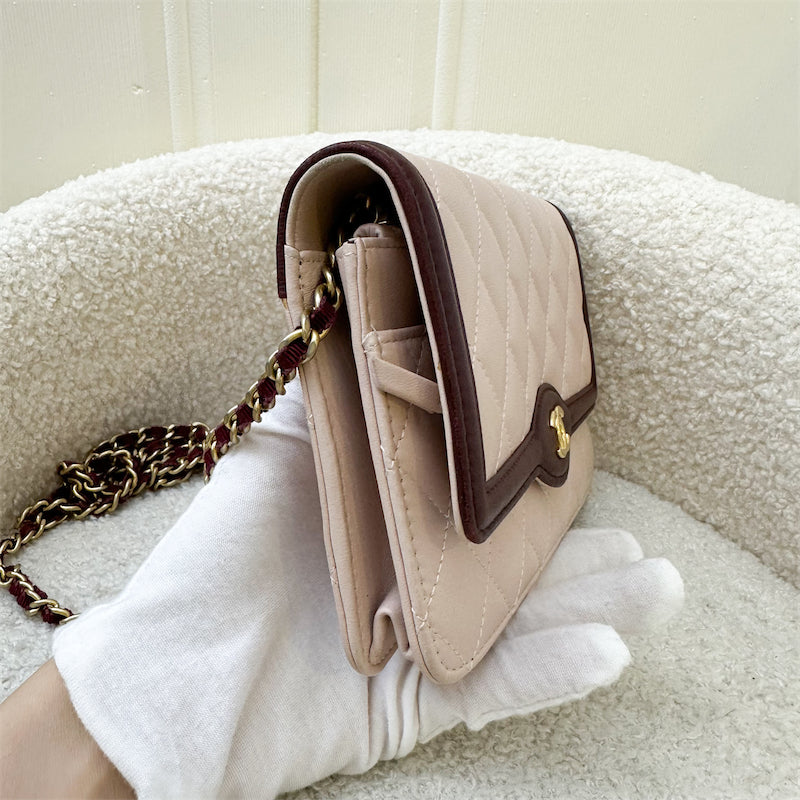 Chanel Seasonal Wallet On Chain WOC in Pink and Burgundy Lambskin and AGHW