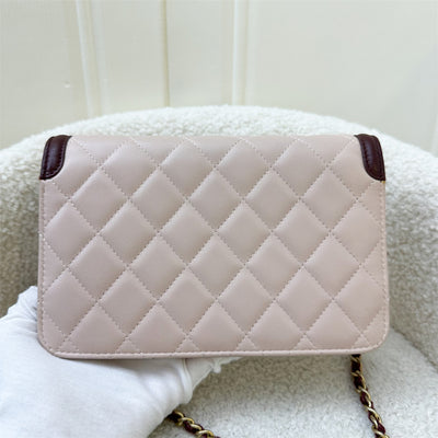 Chanel Seasonal Wallet On Chain WOC in Pink and Burgundy Lambskin and AGHW