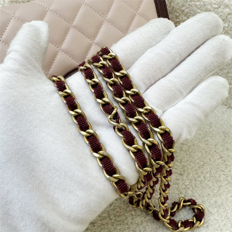 Chanel Seasonal Wallet On Chain WOC in Pink and Burgundy Lambskin and AGHW