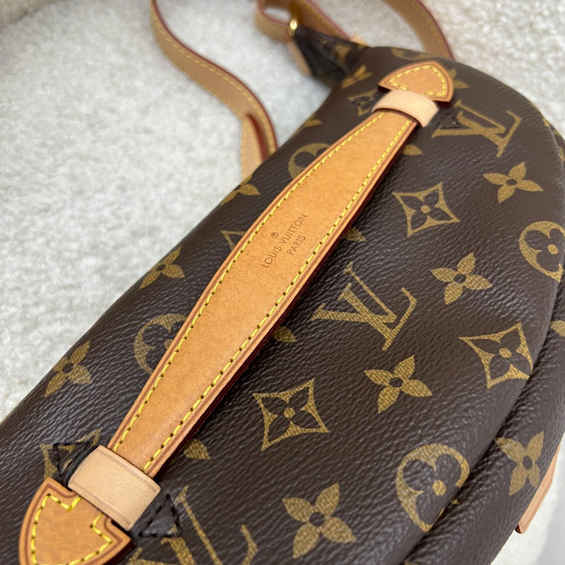 LV Bumbag in Monogram Canvas and GHW