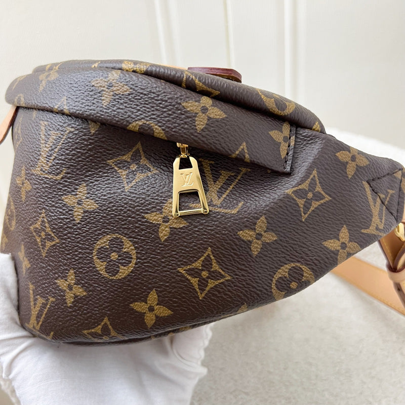 LV Bumbag in Monogram Canvas and GHW