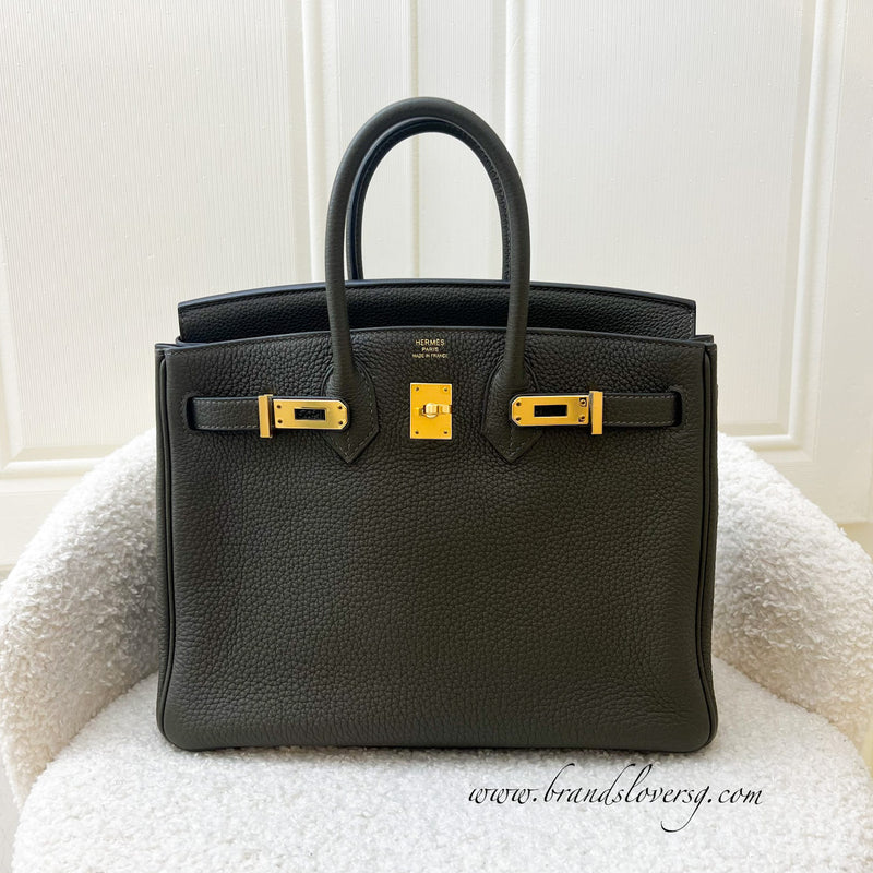 Hermes Birkin 25 in Vert Maquis Togo Leather and GHW