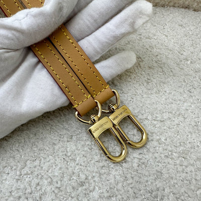 LV Nano Speedy in Monogram Canvas and GHW