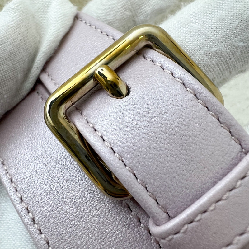 Dior Medium Lady Dior in Iridescent Lotus Pink Lambskin and LGHW (New Flap Closure) (Model: M0565OBDU)