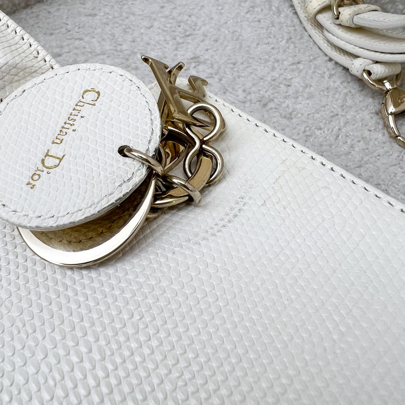 Dior Medium Book Tote in Houndstooth Embroidery Canvas