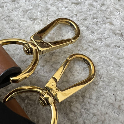 LV Mini Dauphine Flap Bag in Monogram and Monogram Reverse Canvas and GHW (Model: M44580)