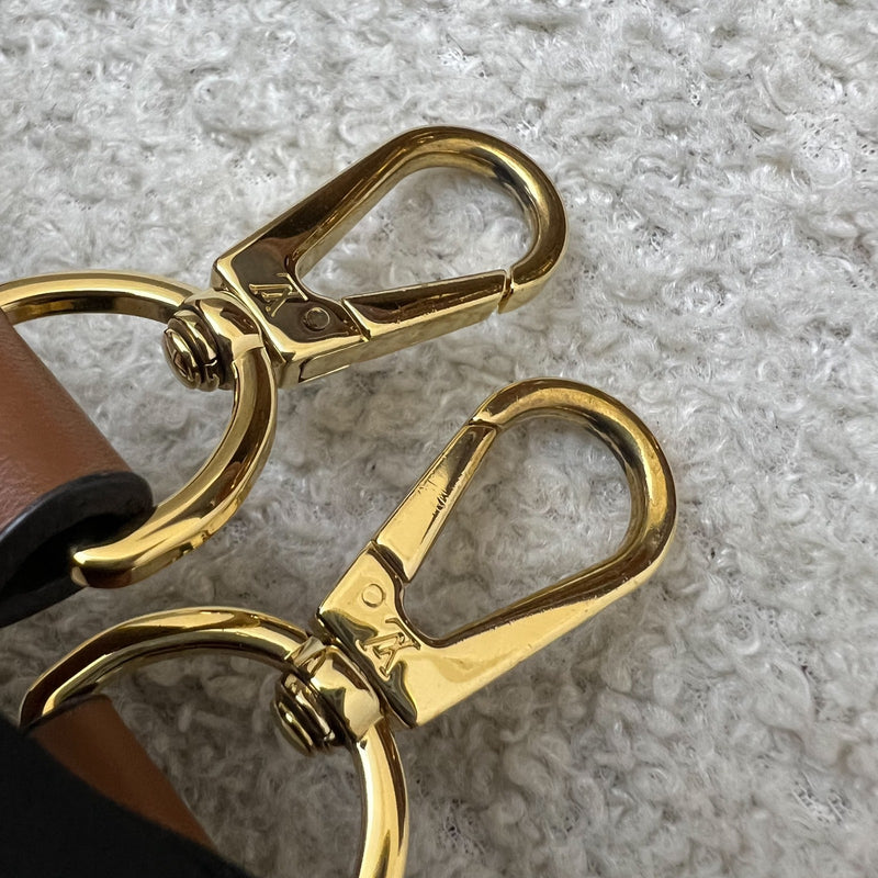 LV Mini Dauphine Flap Bag in Monogram and Monogram Reverse Canvas and GHW (Model: M44580)
