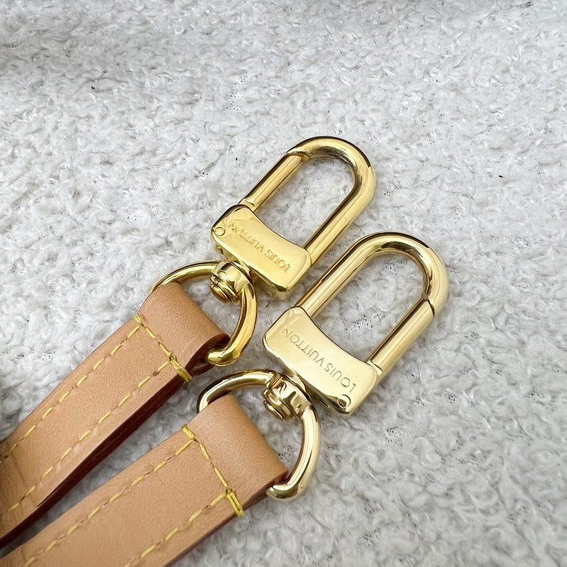 LV Nano Speedy in Monogram Canvas and GHW