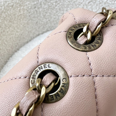 Chanel Seasonal Mini Rectangle Flap Bag in Nude Pink and AGHW