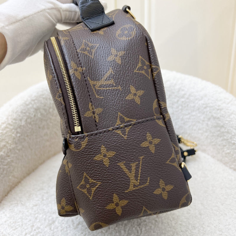 Louis Vuitton Monogram Canvas Palm Springs Mini Backpack