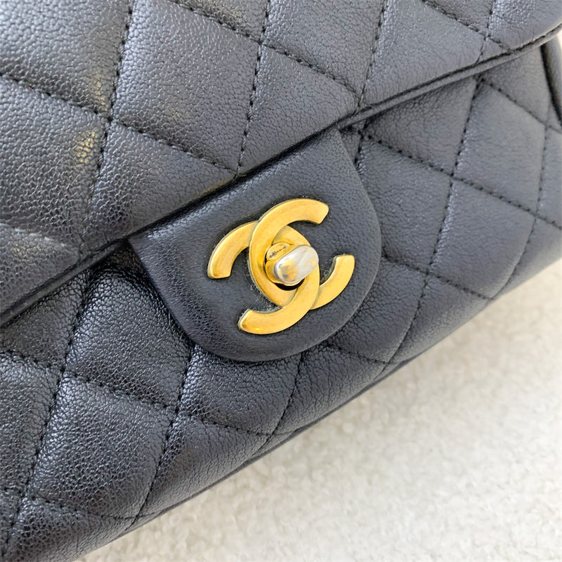 Chanel Mini Trapezio Flap Bag in Black Sheepskin AGHW – Brands Lover