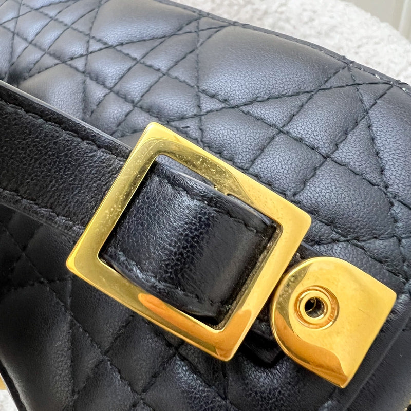 Dior Small DiorTravel Vanity Case in Black Calfskin and GHW