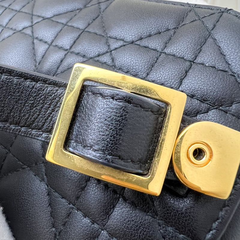 Dior Small DiorTravel Vanity Case in Black Calfskin and GHW