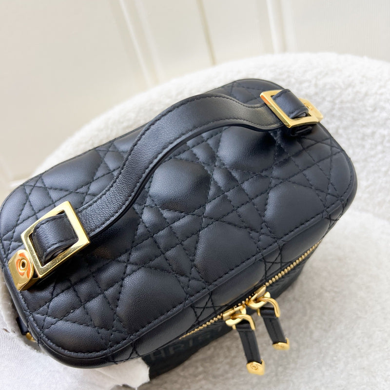 Dior Small DiorTravel Vanity Case in Black Calfskin and GHW