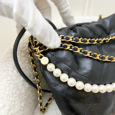 Chanel 22 Mini Hobo with Pearls in Black Distressed Calfskin and AGHW