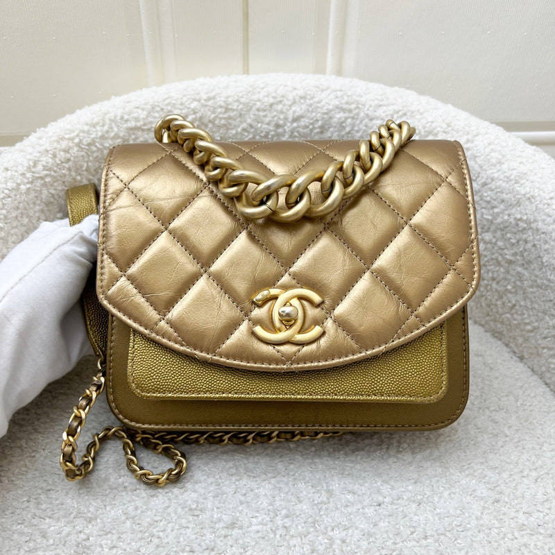Chanel Seasonal Flap Bag in Gold Shiny Calfskin / Caviar and AGHW
