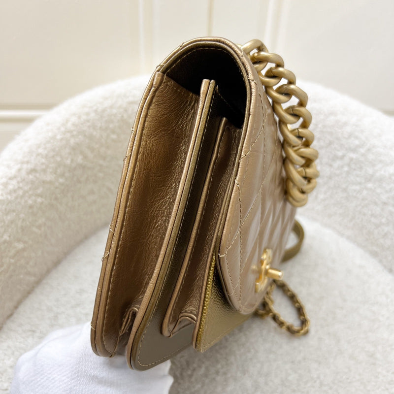 Chanel Seasonal Flap Bag in Gold Shiny Calfskin / Caviar and AGHW
