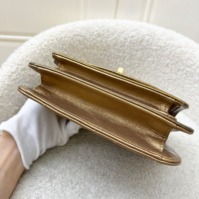 Chanel Seasonal Flap Bag in Gold Shiny Calfskin / Caviar and AGHW