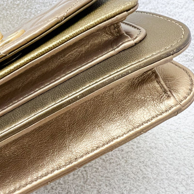 Chanel Seasonal Flap Bag in Gold Shiny Calfskin / Caviar and AGHW