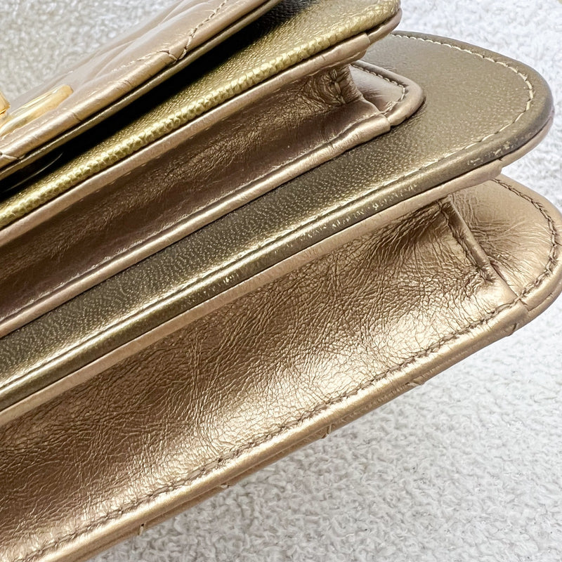 Chanel Seasonal Flap Bag in Gold Shiny Calfskin / Caviar and AGHW