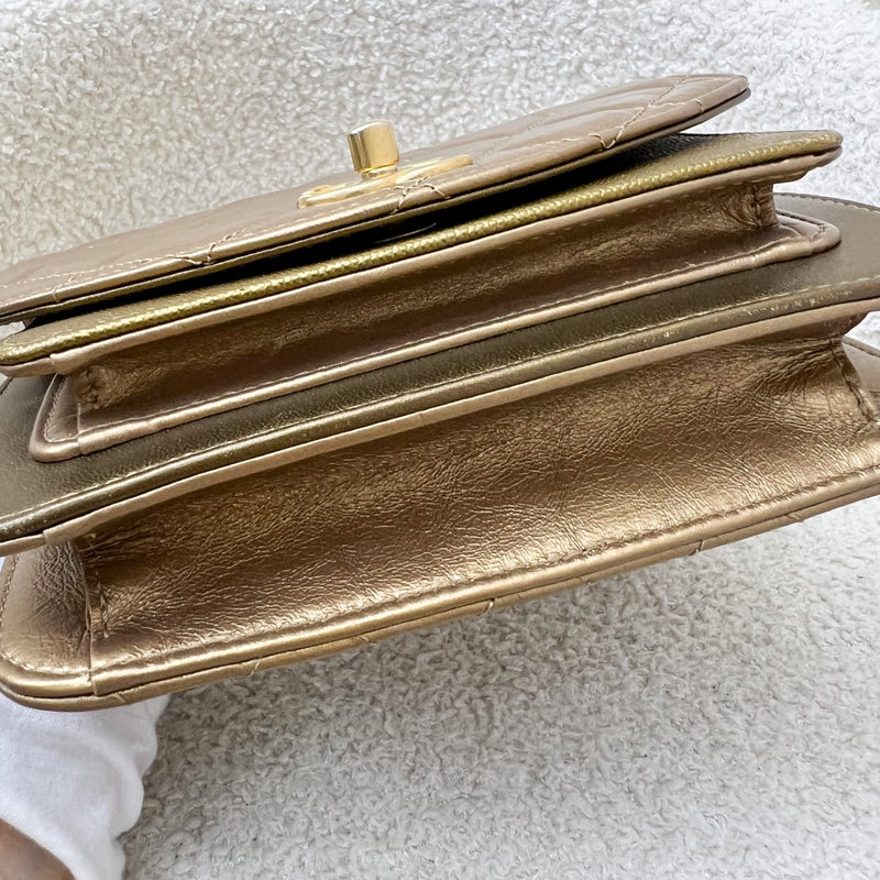 Chanel Seasonal Flap Bag in Gold Shiny Calfskin / Caviar and AGHW