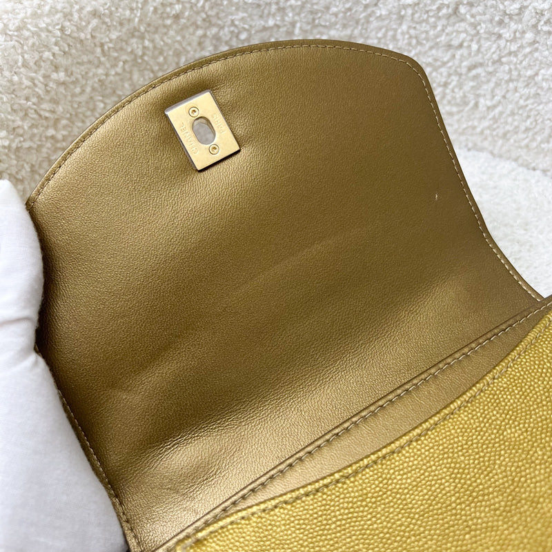 Chanel Seasonal Flap Bag in Gold Shiny Calfskin / Caviar and AGHW